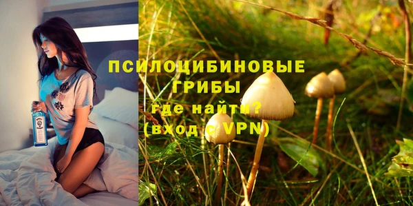 ПСИЛОЦИБИНОВЫЕ ГРИБЫ Арсеньев