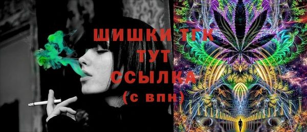 ПСИЛОЦИБИНОВЫЕ ГРИБЫ Арсеньев