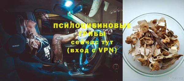 ПСИЛОЦИБИНОВЫЕ ГРИБЫ Арсеньев