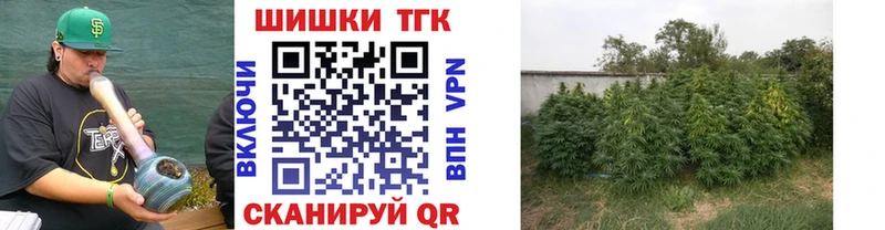 Марихуана сатива Колпашево